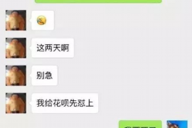 奉贤专业讨债公司有哪些核心服务？